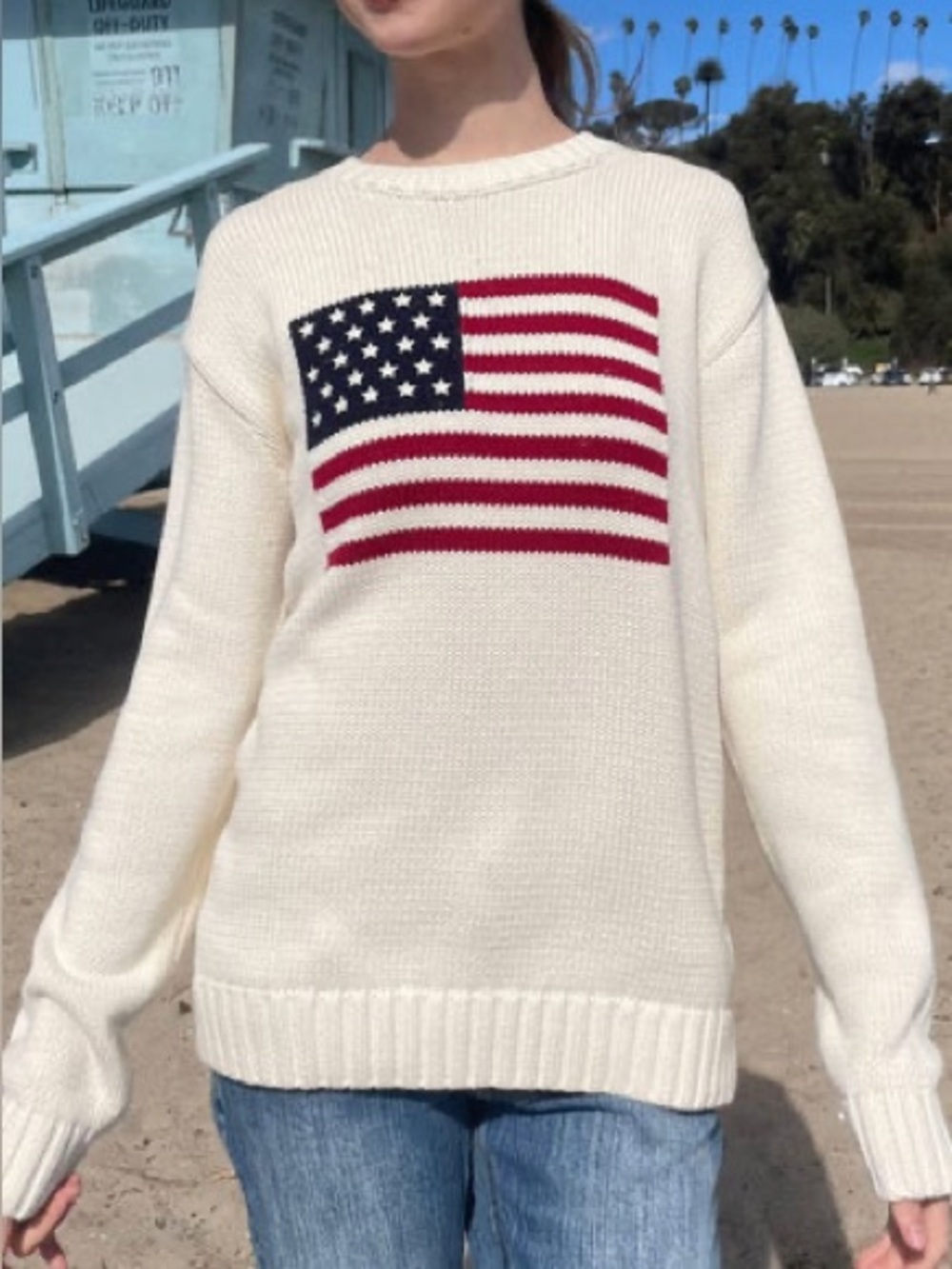 Brandy Melville Nico American flag sweater